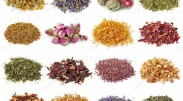 القولون بالأعشاب4