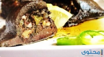 Desktopفوائد تناول الطحال للجسم3