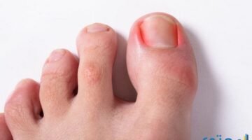 القدم الكبير4