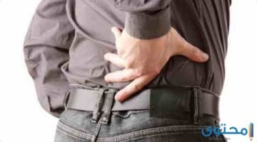 البروستاتا 12