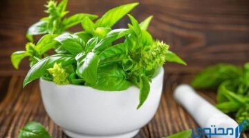 المرارة بالاعشاب1 1