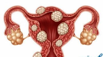 البويضة وتحولها لكيس3