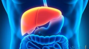 الطحال بالأعشاب4