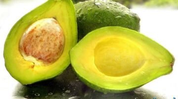 عن الافوكادو