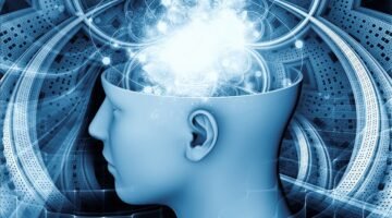 الدماغ الزائدة3